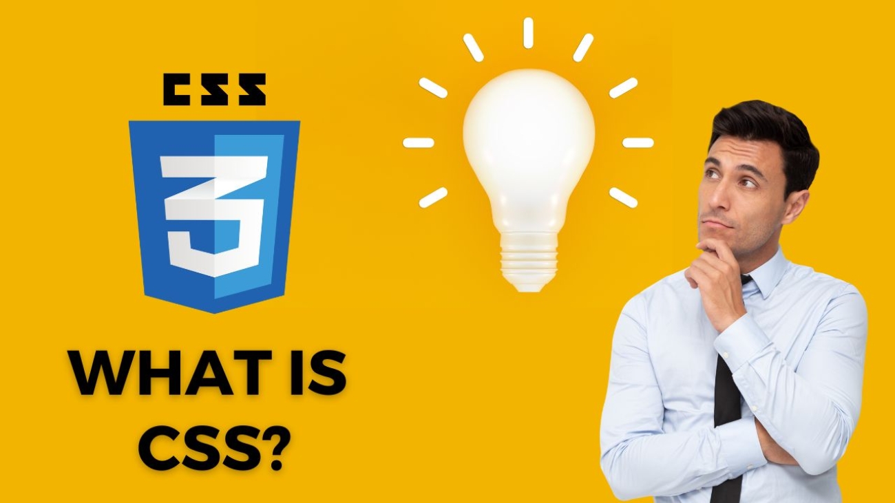 WHAT IS CSS